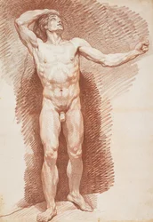 Standing Male Nude